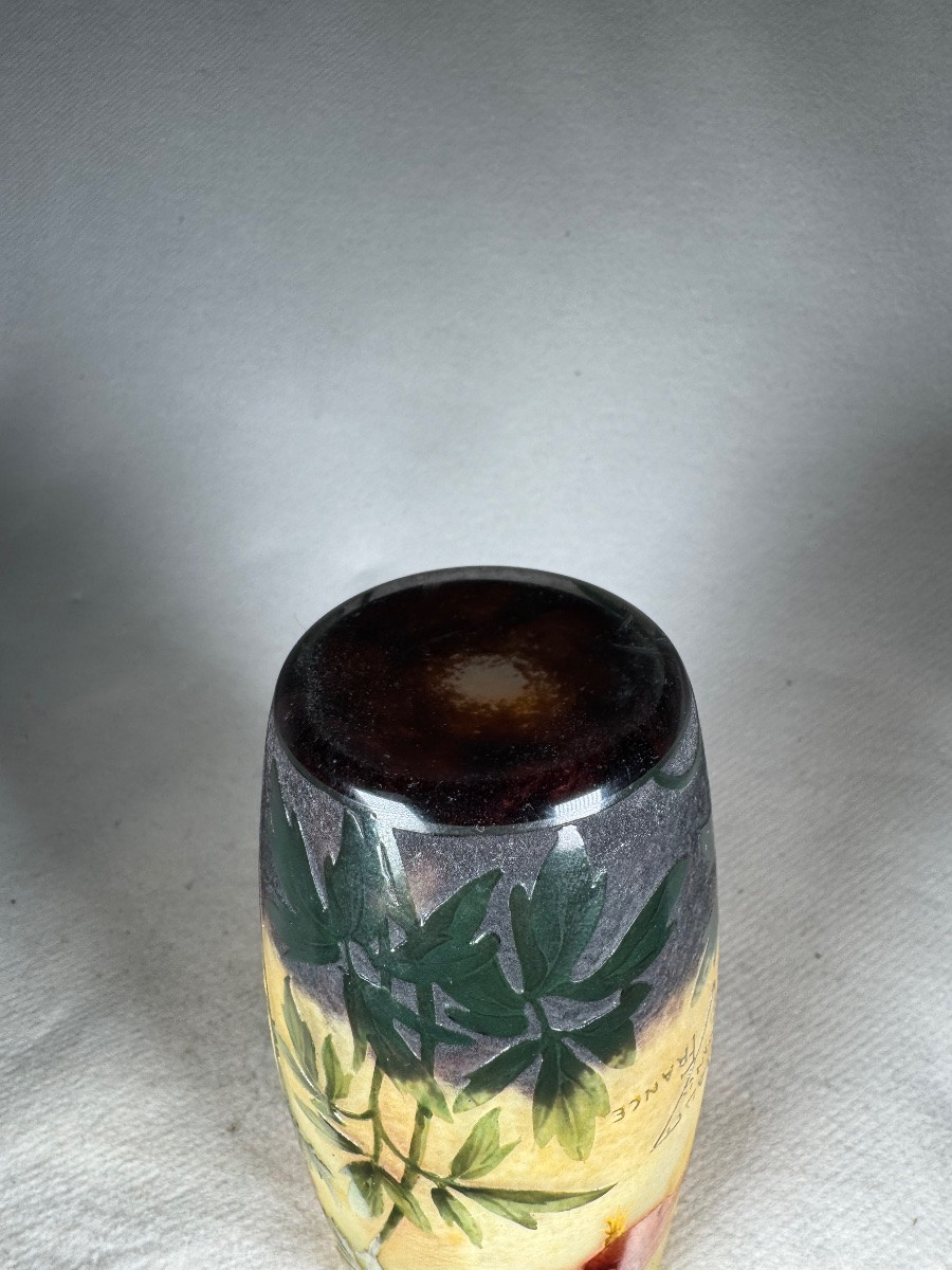 Daum Nancy Vase “columbines”-photo-5