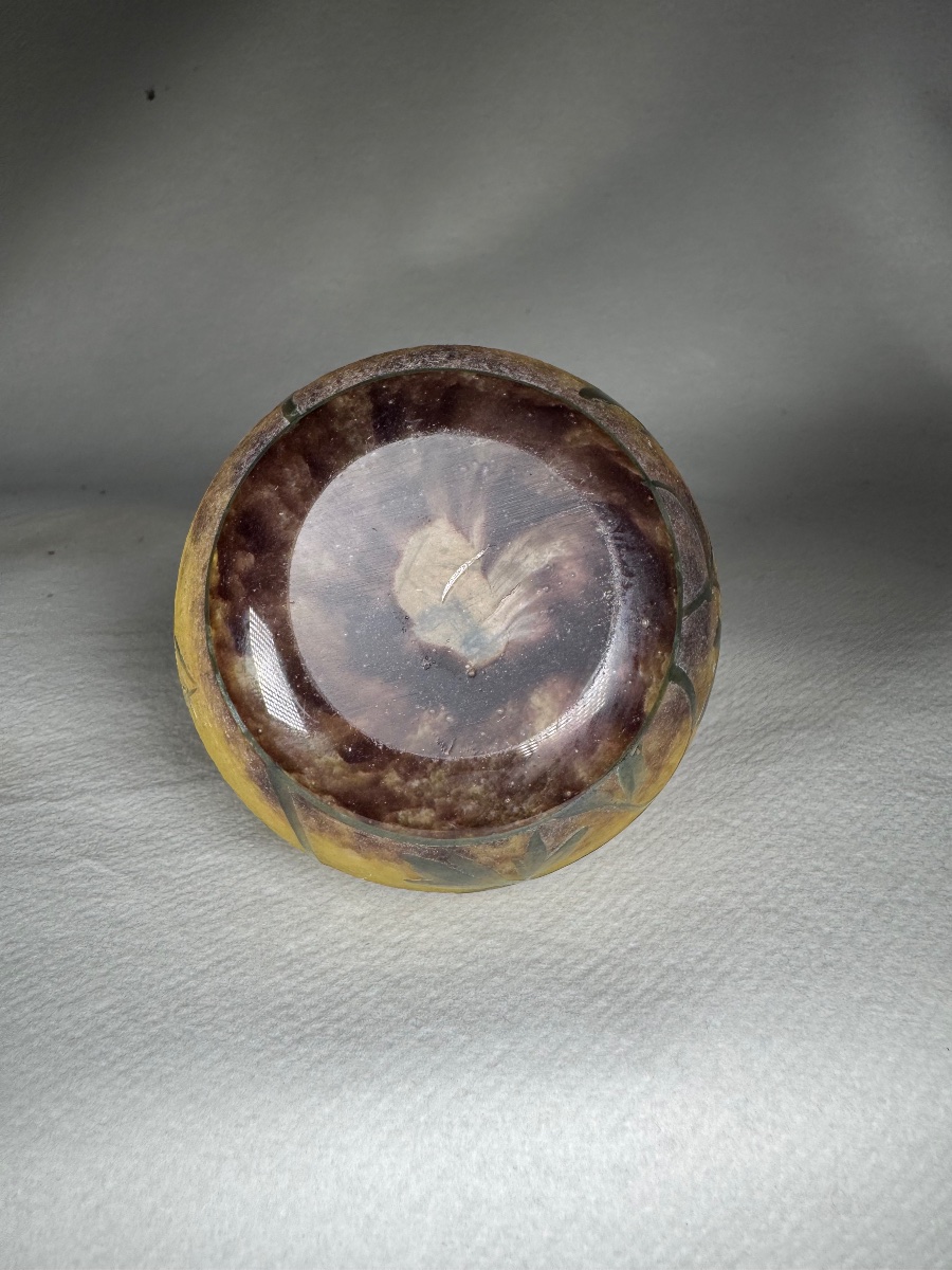 Vase Daum Nancy « Ancolies » -photo-1