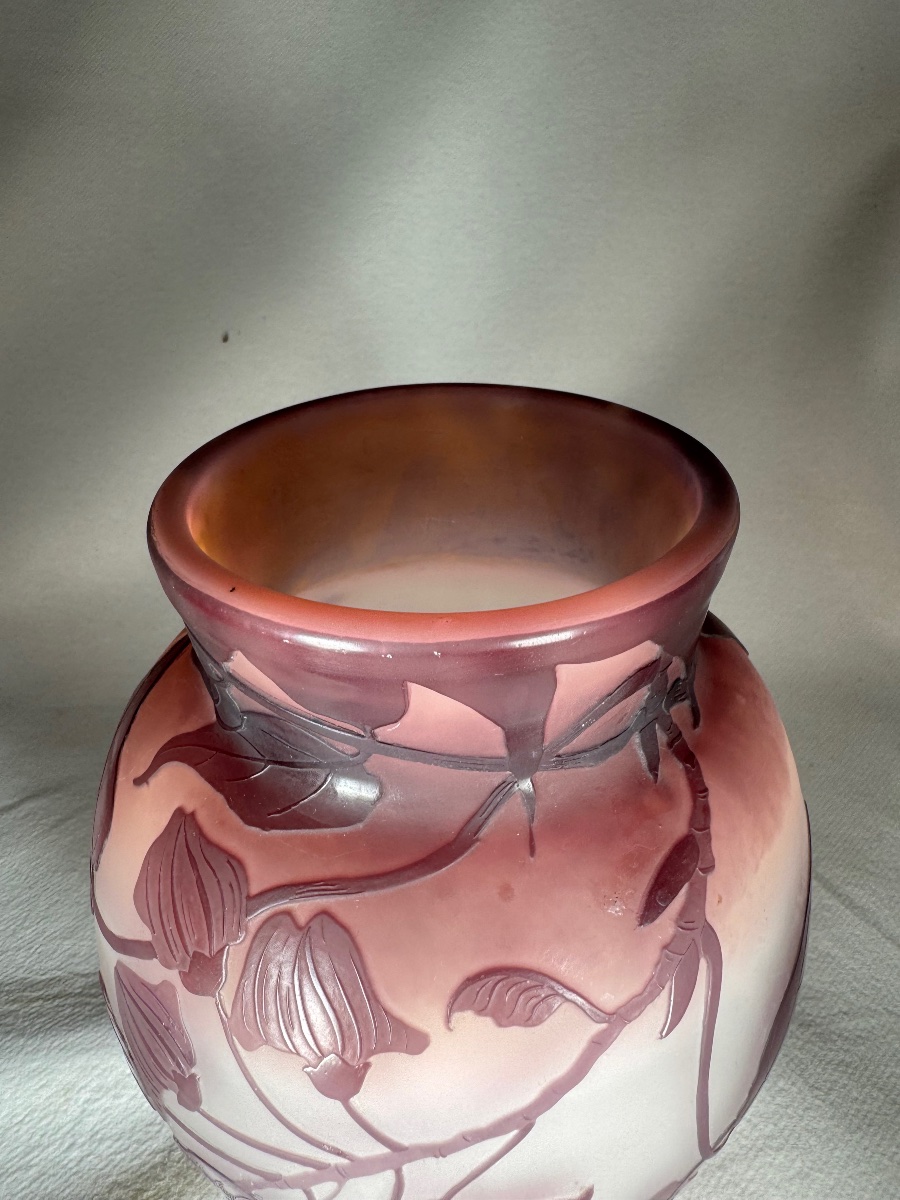 Vase Émile Gallé « Glycines »-photo-1