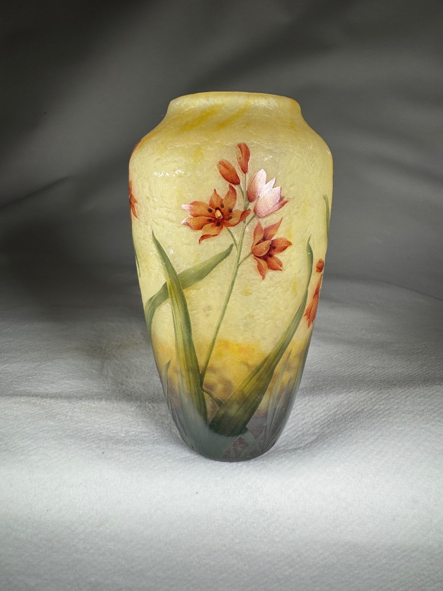 Vase Daum Nancy « Lis De Cafre » Art Nouveau-photo-2