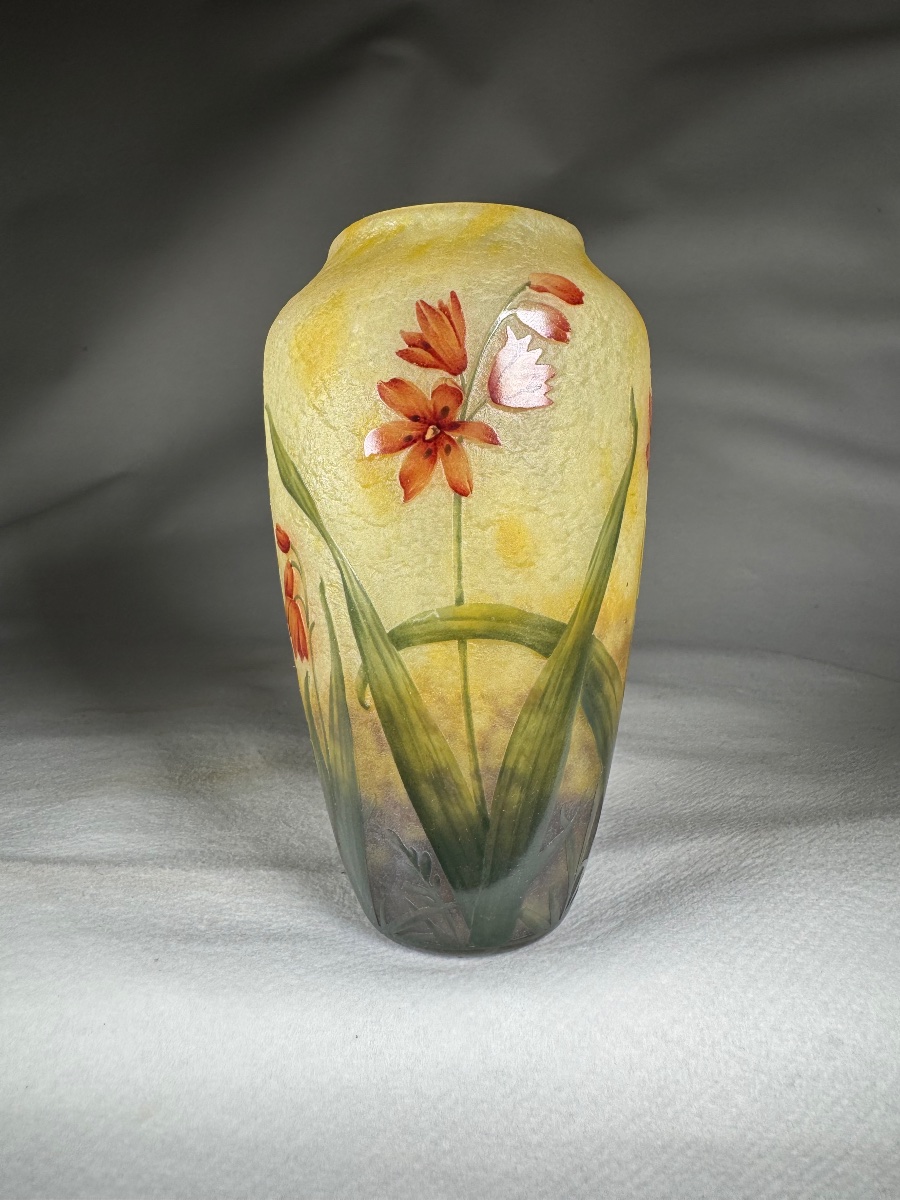 Vase Daum Nancy « Lis De Cafre » Art Nouveau-photo-3