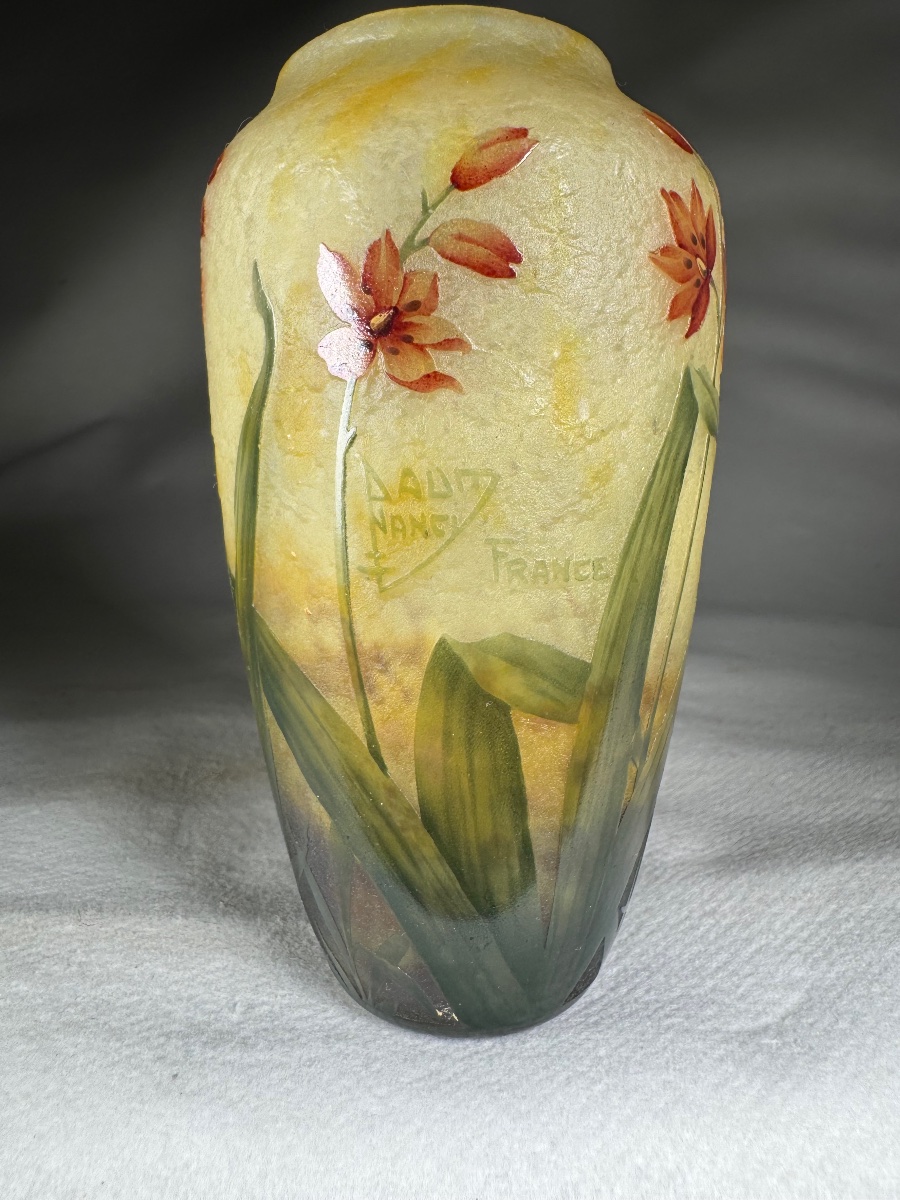 Vase Daum Nancy « Lis De Cafre » Art Nouveau-photo-2
