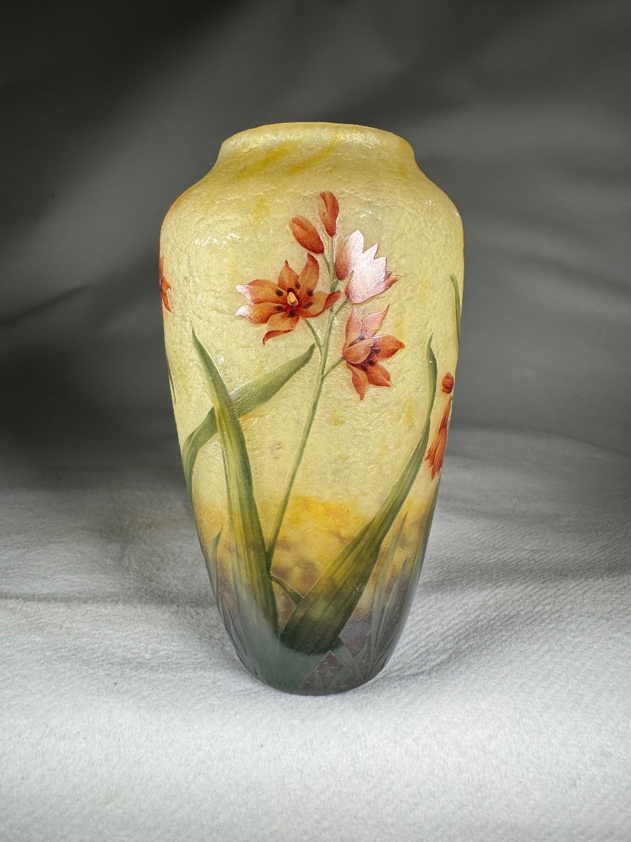 Vase Daum Nancy « Lis De Cafre » Art Nouveau