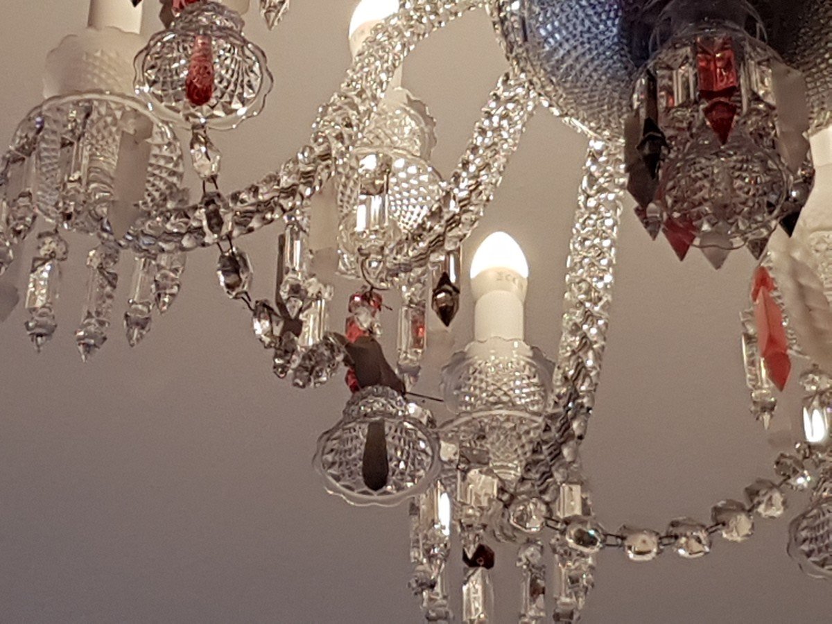 LUSTRE BACCARAT ZENITH FLOU BY STARCK-photo-6