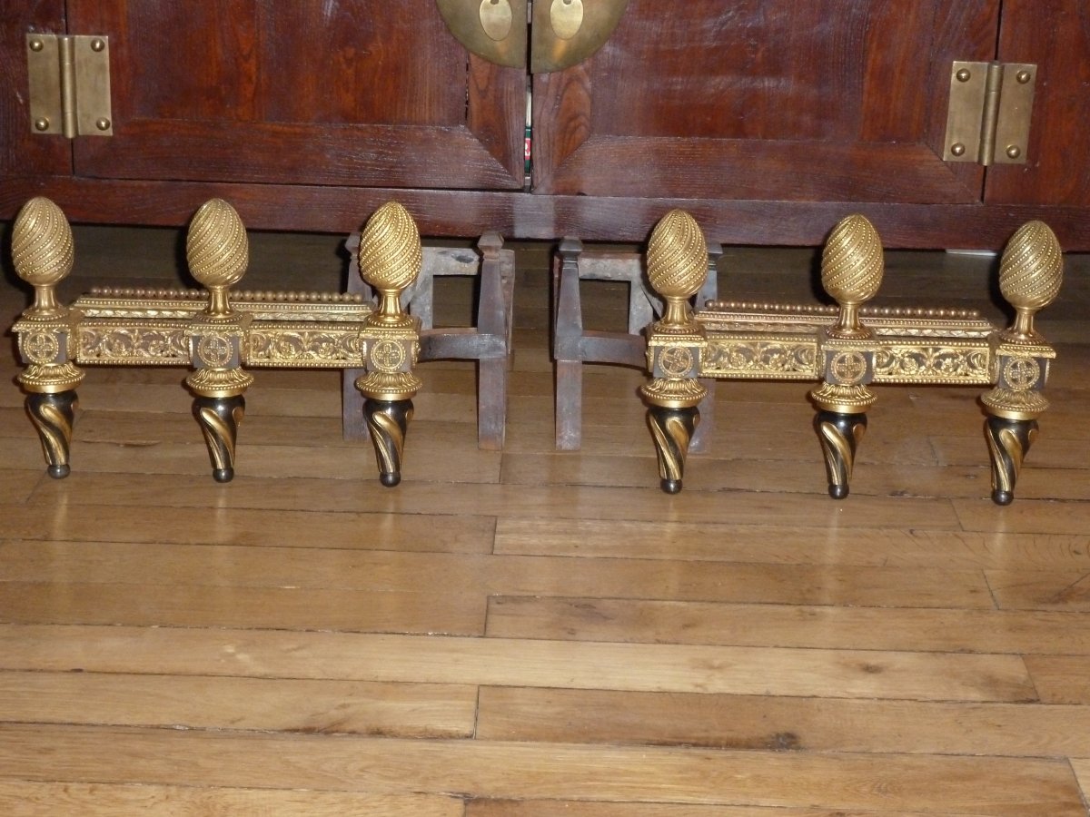 Paire De Chenet Bronze Style Louis XVI