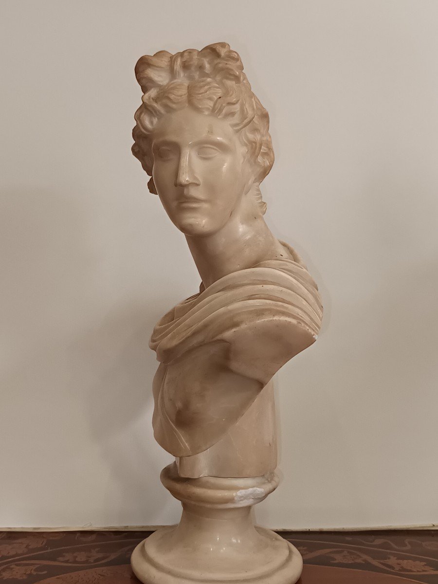 Buste En Marbre Alabastre Jaune Apollo Del Belvedere Grand Tour Italie Rome XIX-photo-3