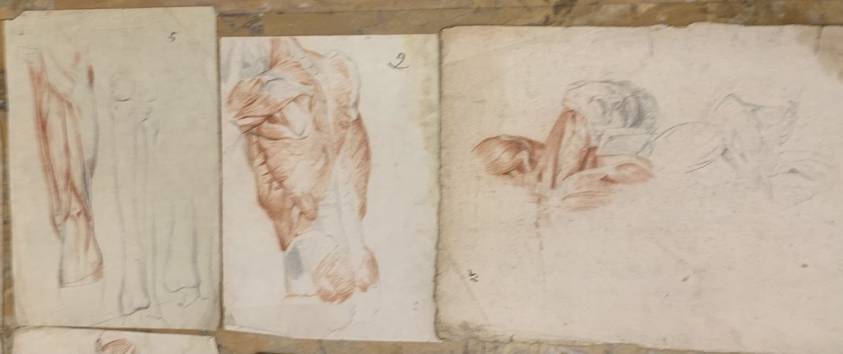 Académiques d'anatomie - 37  dessins d'études musculaires -1820, et 1896  Académie  médecin-photo-7
