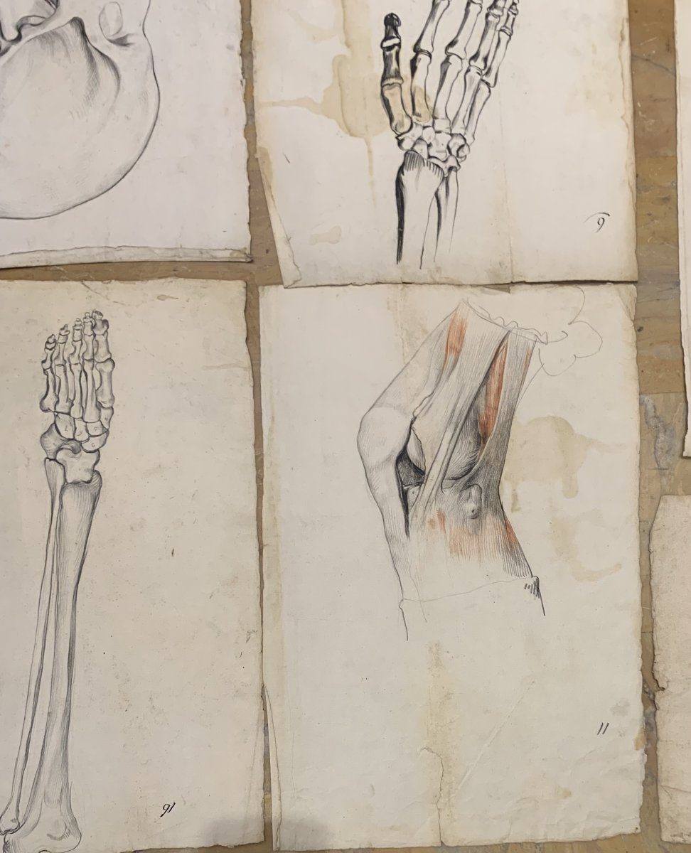 Académiques d'anatomie - 37  dessins d'études musculaires -1820, et 1896  Académie  médecin-photo-8