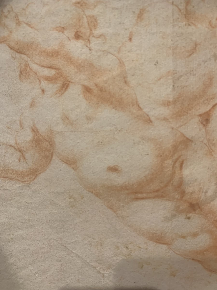 Italian School - Putti - Pair Of Red Chalk Drawings - Late 17th Century - Italy  -academy--photo-4