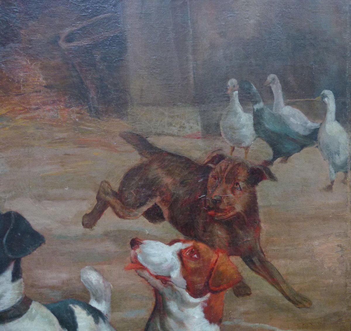 Large Genre Scene Dogs In The Courtyard Oil / Canvas From The Eighteenth Century-photo-3