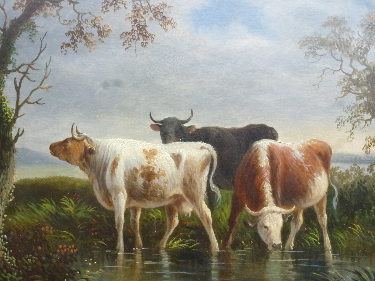 Table Rural Scene With Cows Oil / Canvas Late 19th Century - Early 20th Century-photo-3