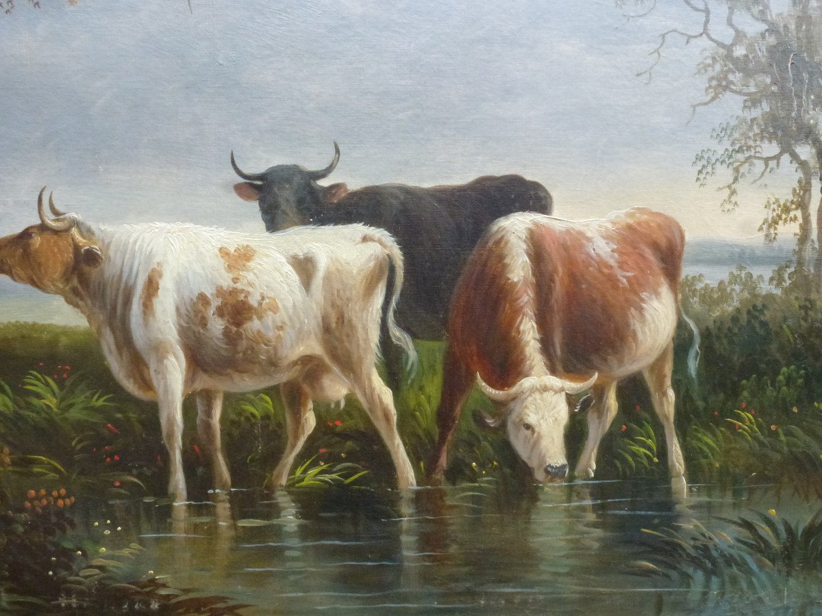 Table Rural Scene With Cows Oil / Canvas Late 19th Century - Early 20th Century-photo-4