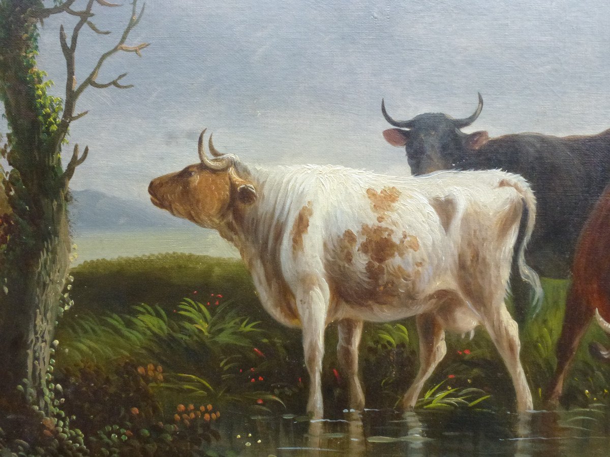 Table Rural Scene With Cows Oil / Canvas Late 19th Century - Early 20th Century-photo-1