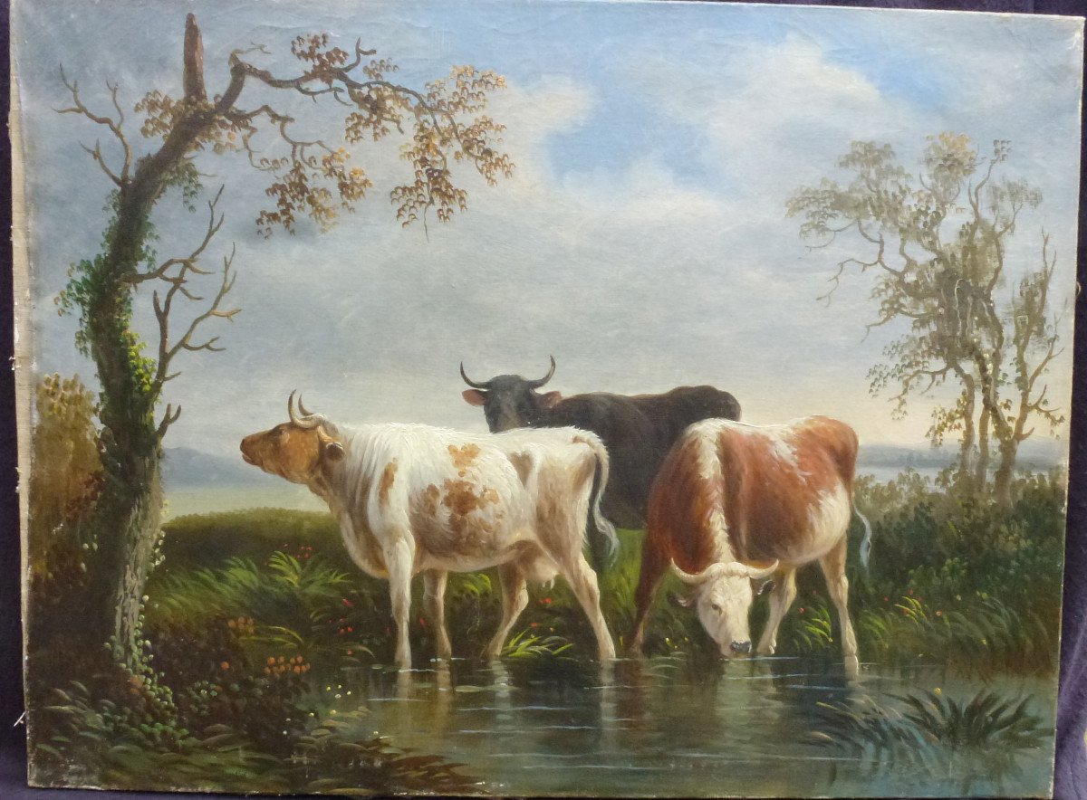 Table Rural Scene With Cows Oil / Canvas Late 19th Century - Early 20th Century