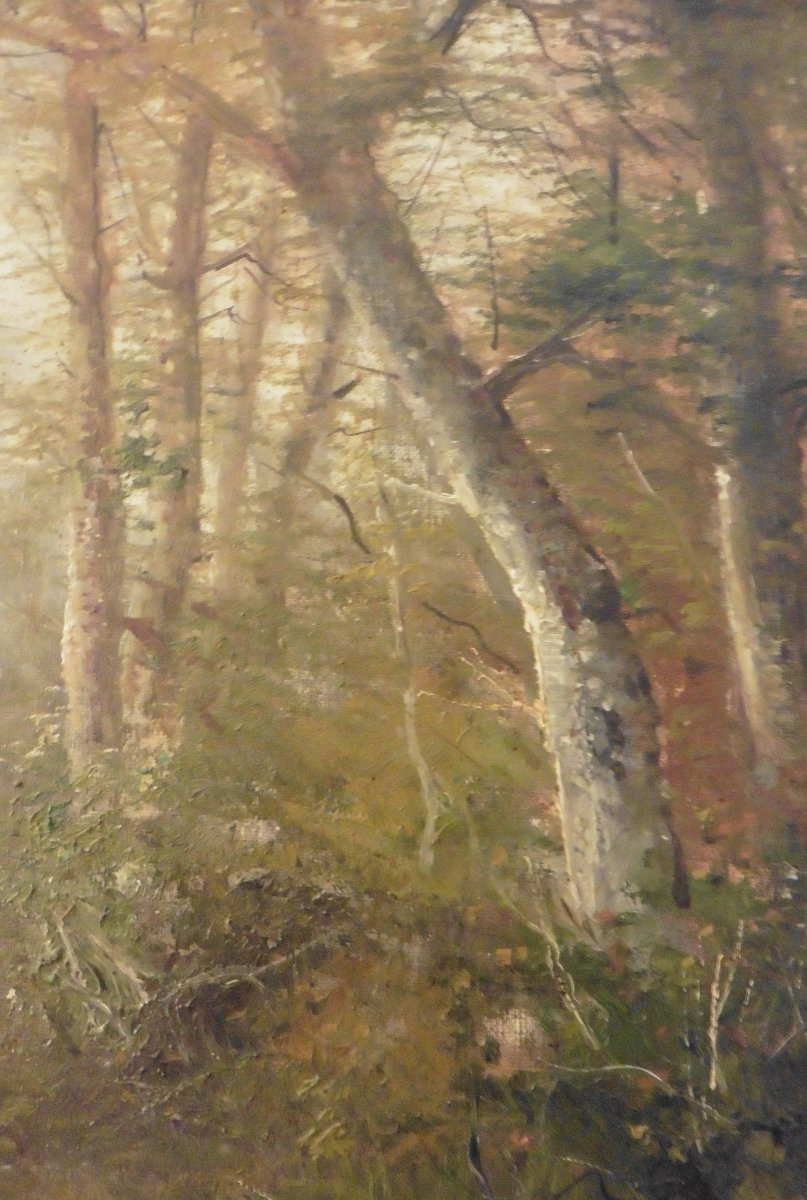 Paul Armandi Tableau Paysage Animé Forêt Huile/toile Du XIXème Siècle-photo-6