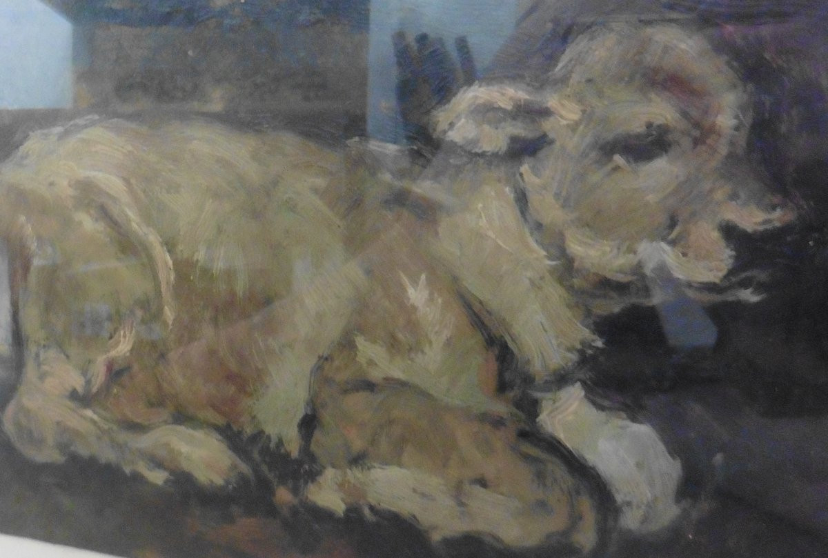 Tableau Portrait Veau Signé Urbani Huile/Panneau du XXème siècle-photo-3