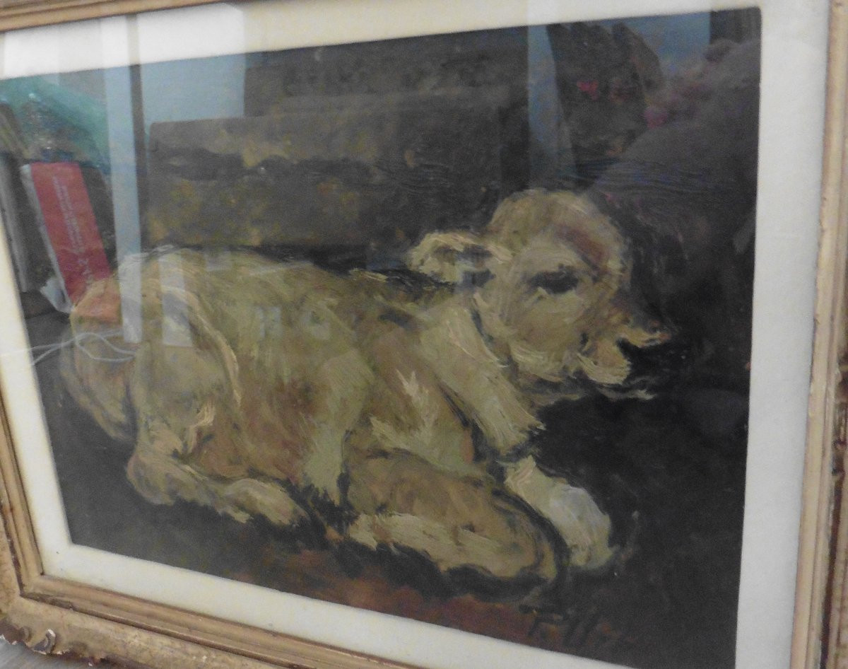 Tableau Portrait Veau Signé Urbani Huile/Panneau du XXème siècle-photo-1