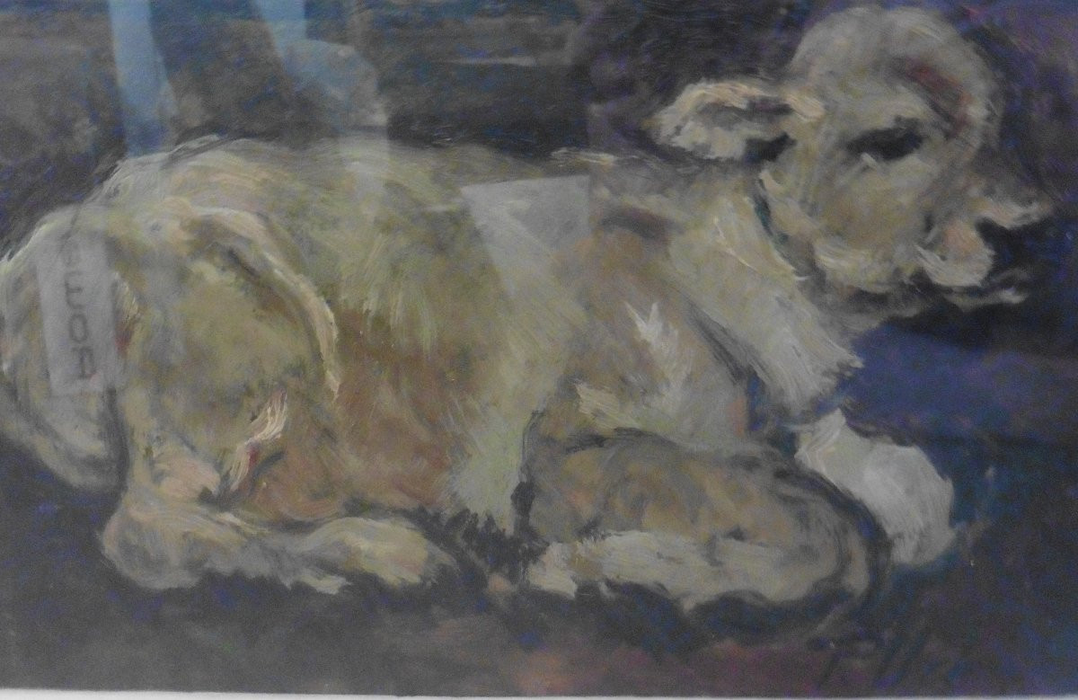 Tableau Portrait Veau Signé Urbani Huile/Panneau du XXème siècle-photo-4