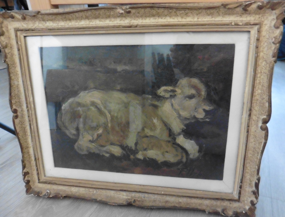 Tableau Portrait Veau Signé Urbani Huile/Panneau du XXème siècle