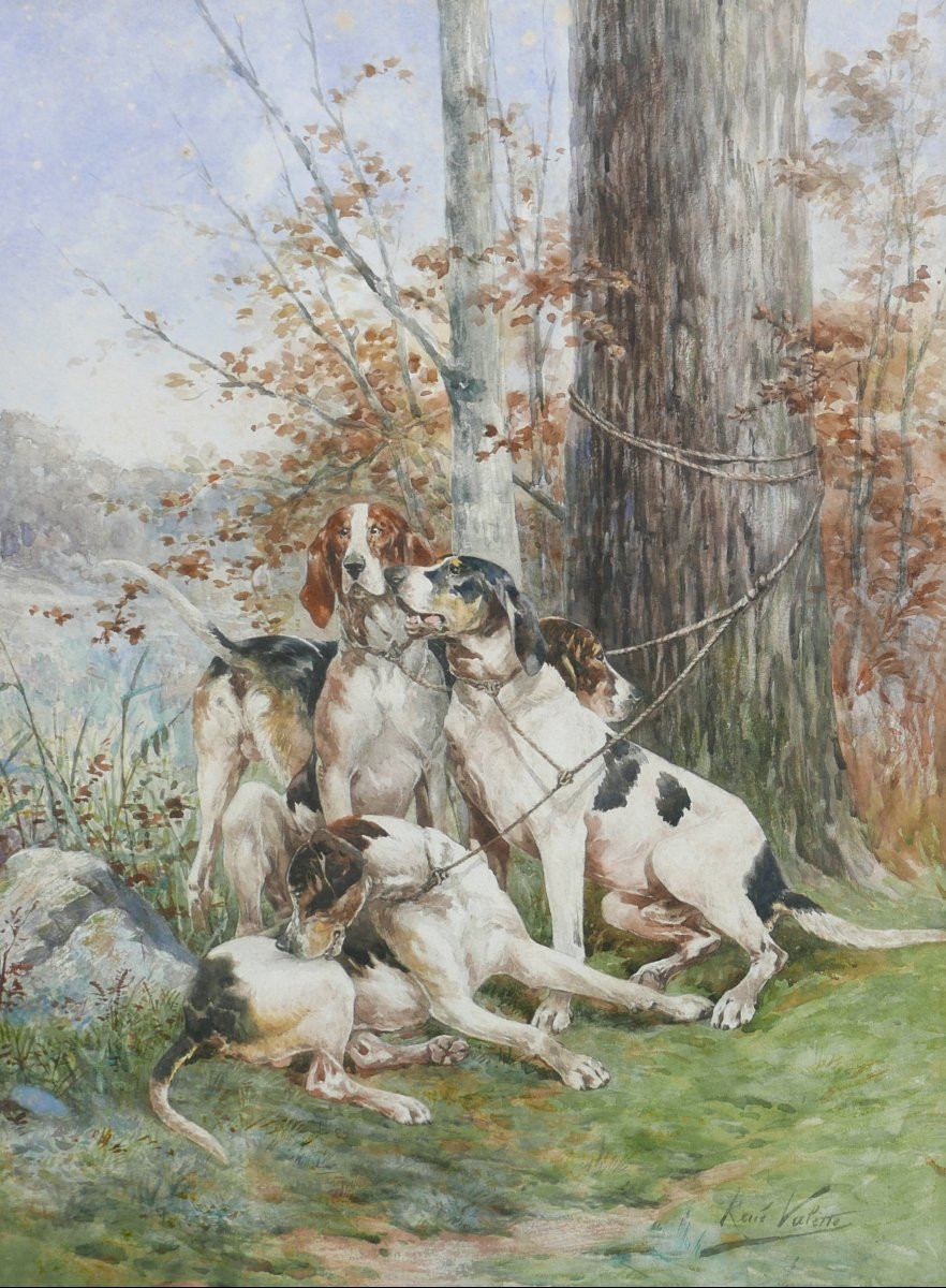 René Valette Grand Portrait Chiens de Chasse Aquarelle fin XIXème siècle-photo-4