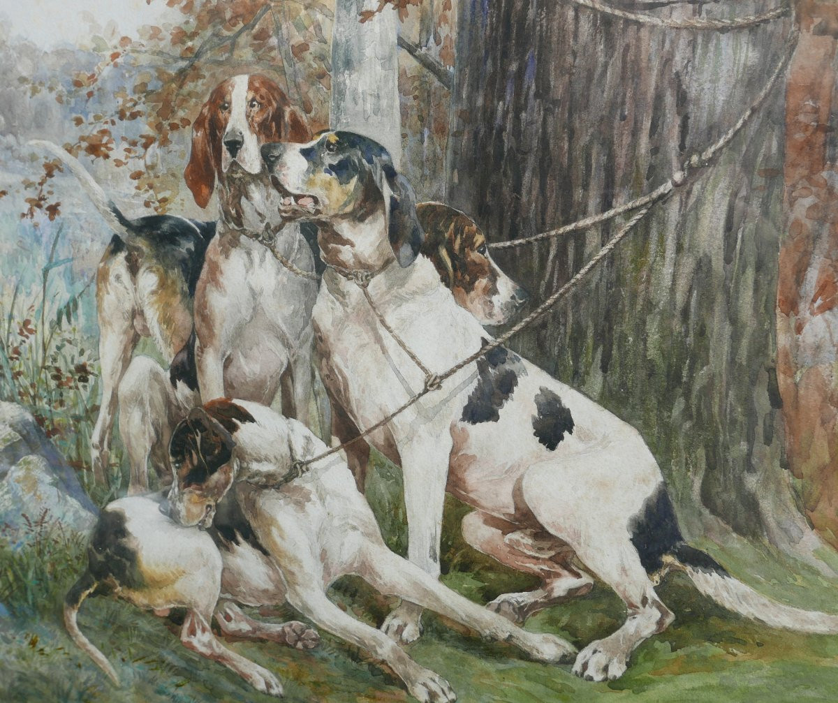 René Valette Grand Portrait Chiens de Chasse Aquarelle fin XIXème siècle-photo-3