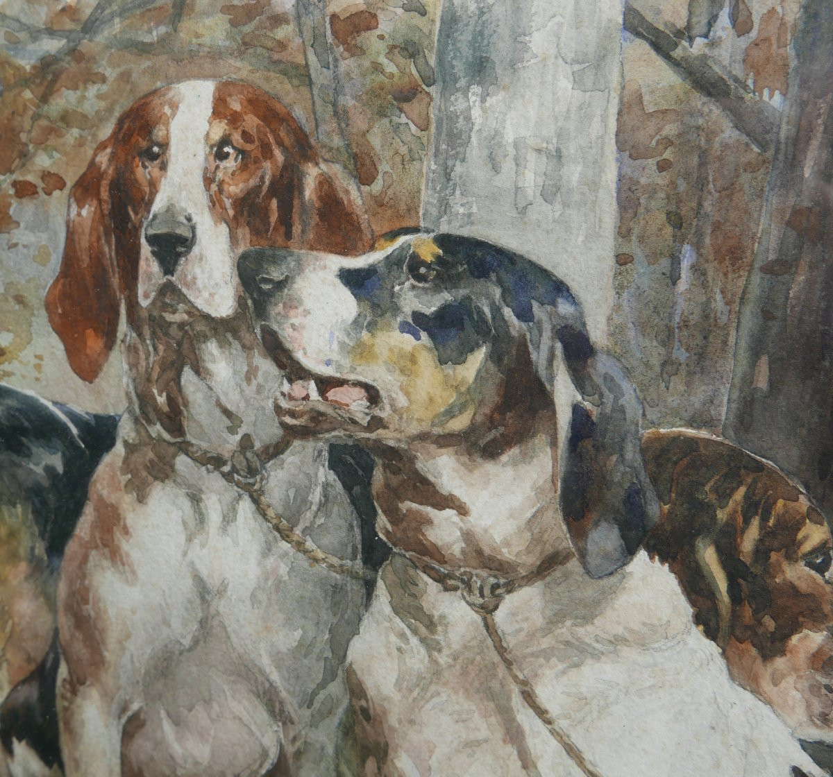 René Valette Grand Portrait Chiens de Chasse Aquarelle fin XIXème siècle-photo-5