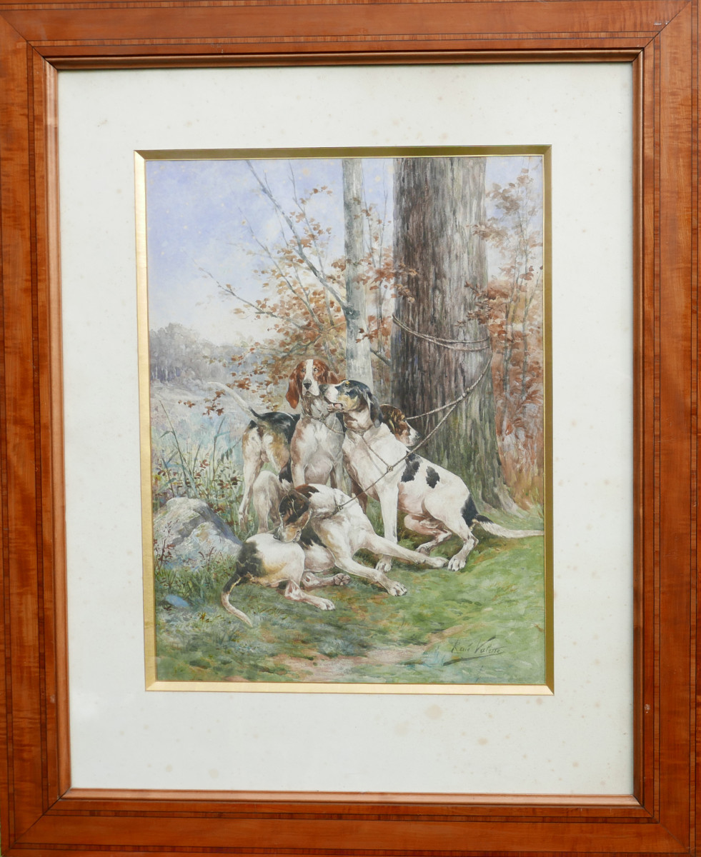 René Valette Grand Portrait Chiens de Chasse Aquarelle fin XIXème siècle