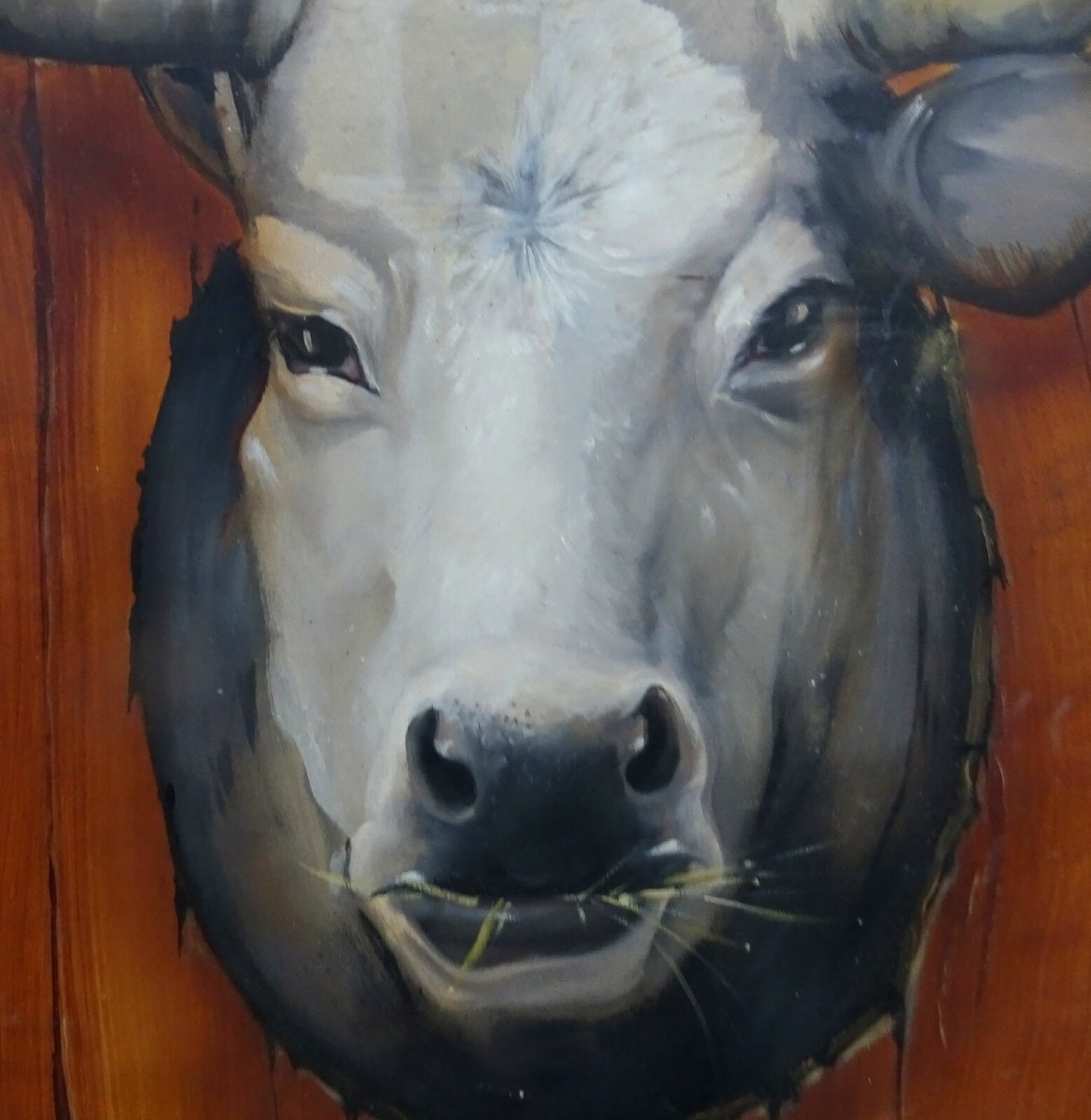 Stéphane Mouiller Tableau Portrait de Vache Huile sur Panneau XXème siècle-photo-1