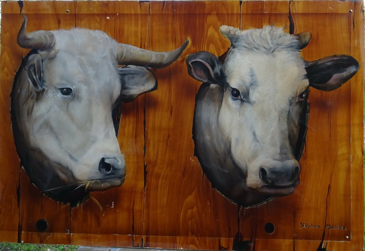 Stéphane Mouiller Tableau Portrait de Vaches Huile sur Panneau XXème siècle-photo-2