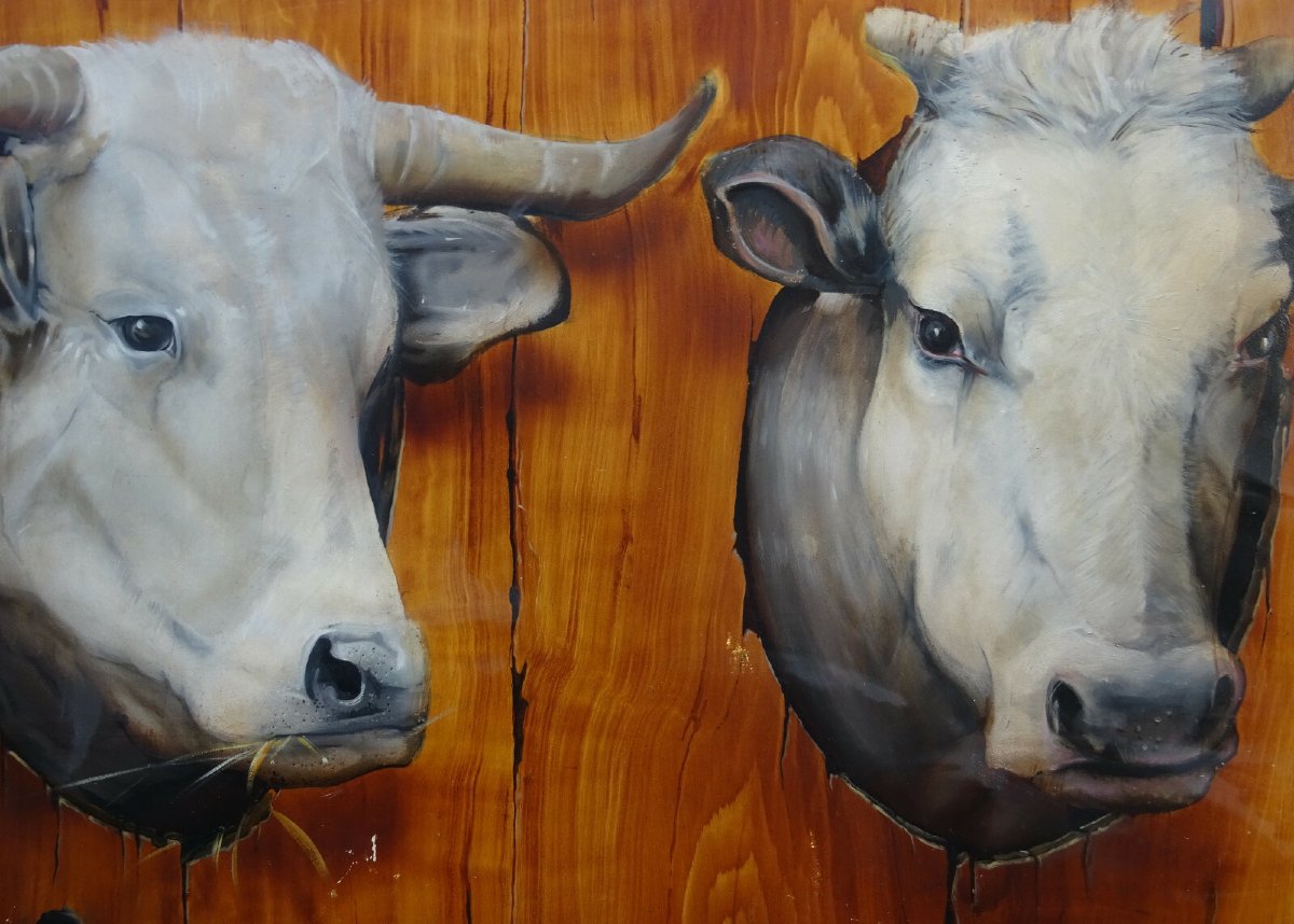 Stéphane Mouiller Tableau Portrait de Vaches Huile sur Panneau XXème siècle-photo-3