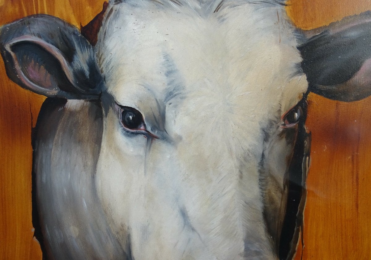 Stéphane Mouiller Tableau Portrait de Vaches Huile sur Panneau XXème siècle-photo-4