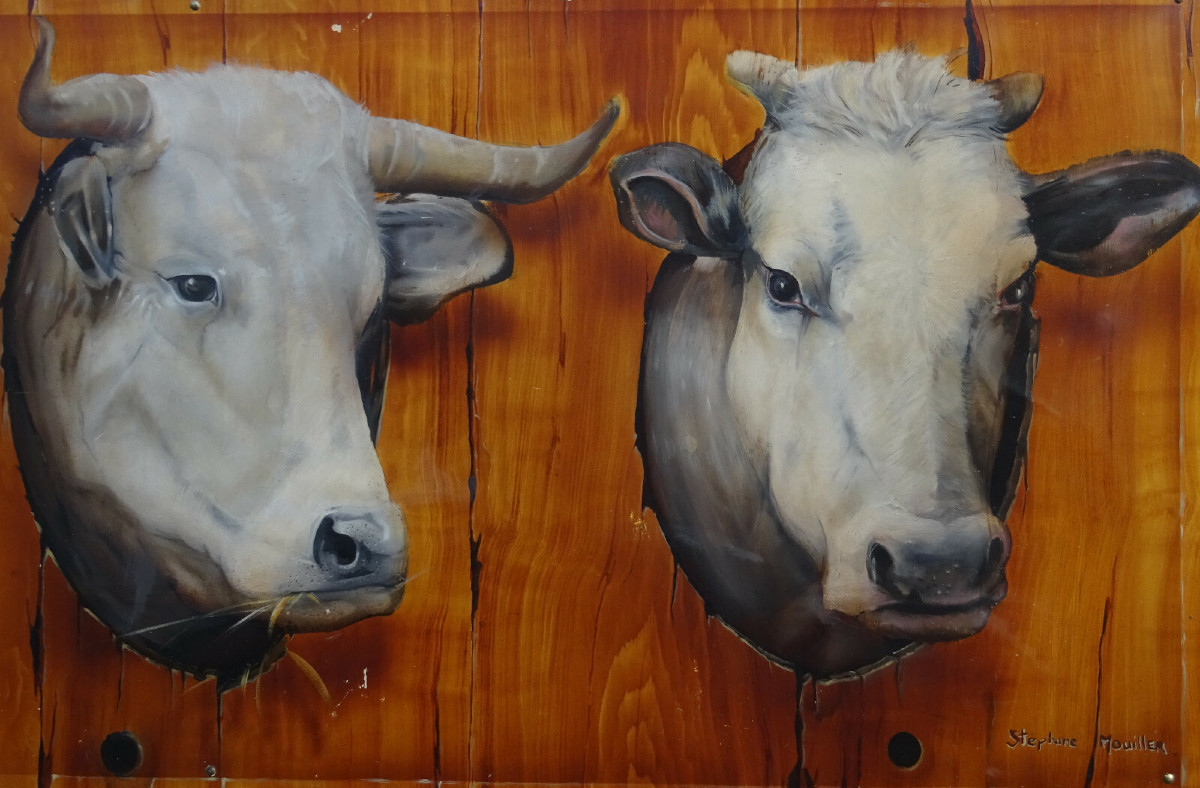 Stéphane Mouiller Tableau Portrait de Vaches Huile sur Panneau XXème siècle