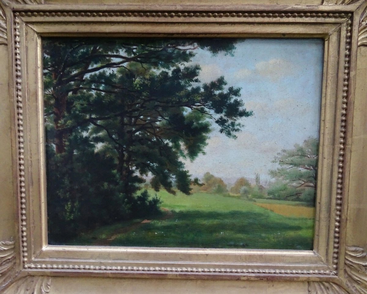 Tableau Chomel Paysage Rural Ecole Suisse Huile/Panneau fin XIXème siècle-photo-3