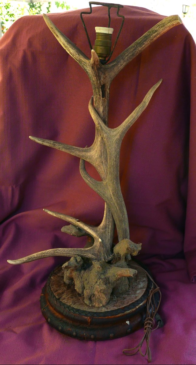 Lampe en Bois de Cerf et Cuir XXème siècle Vintage-photo-2