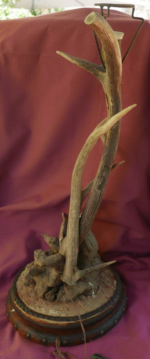 Lampe en Bois de Cerf et Cuir XXème siècle Vintage-photo-2