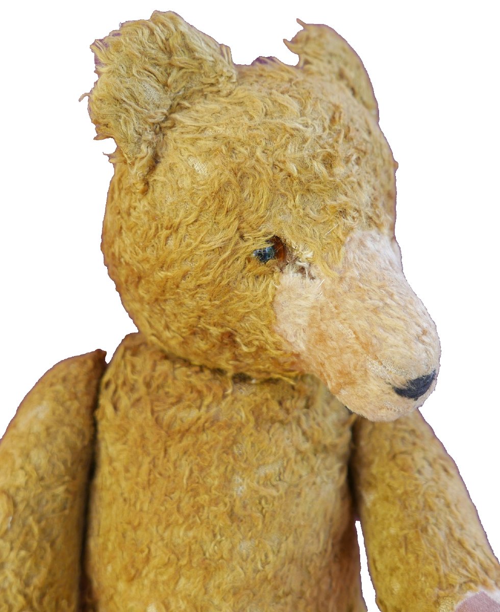 Ancien Ours Pintel Articulé Mohair avec Grogneur Vintage-photo-3