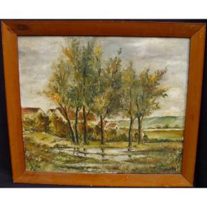 Country Landscape Oil / Canvas From The 20th Century Signed