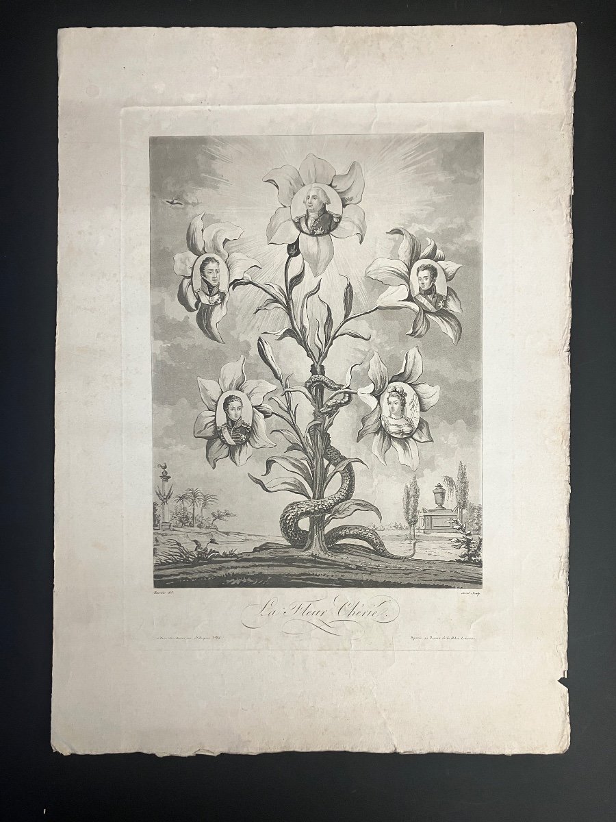 La Fleur Chérie - Lys - Royalisme - Gravure Séditieuse Signée Jaxet. Louis XVI - Louis XVIII …-photo-2