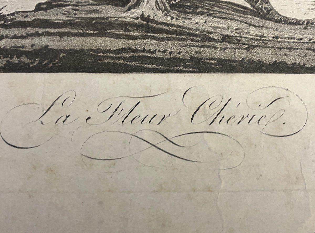 La Fleur Chérie - Lys - Royalisme - Gravure Séditieuse Signée Jaxet. Louis XVI - Louis XVIII …-photo-4