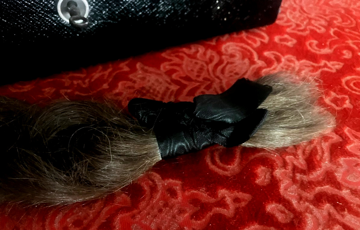 Reliquary - Hair Cut In Mourning - Braid, Box, And Beveled Glass. -photo-2