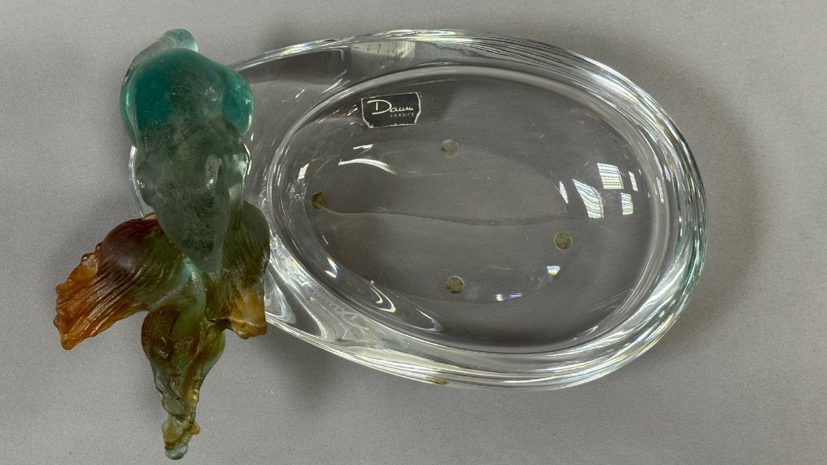 Daum: Large Empty Pocket, Mouse Eating From Maison Daum Nancy In Its Box-photo-4