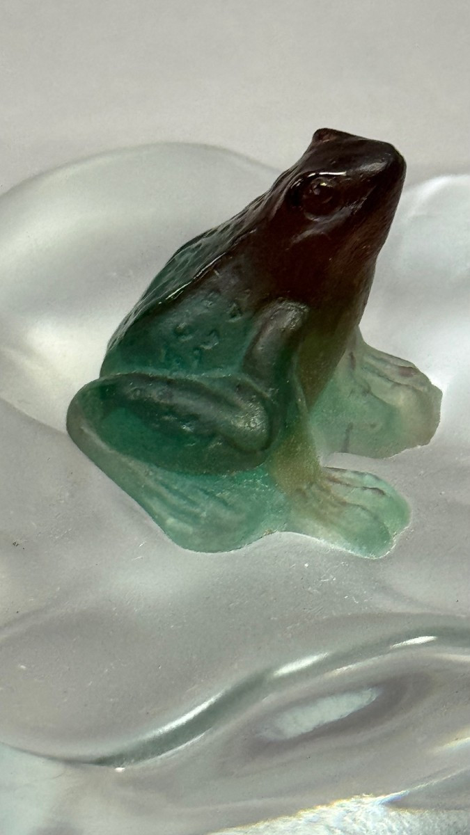 Daum: Frog On A Transparent Sheet, From The Daum House In Nancy With Its Box-photo-2