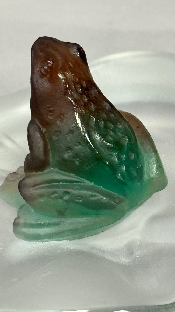 Daum: Frog On A Transparent Sheet, From The Daum House In Nancy With Its Box-photo-3