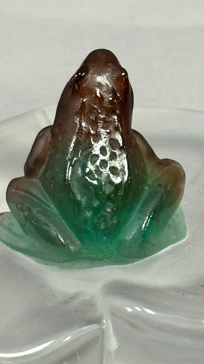 Daum: Frog On A Transparent Sheet, From The Daum House In Nancy With Its Box-photo-4