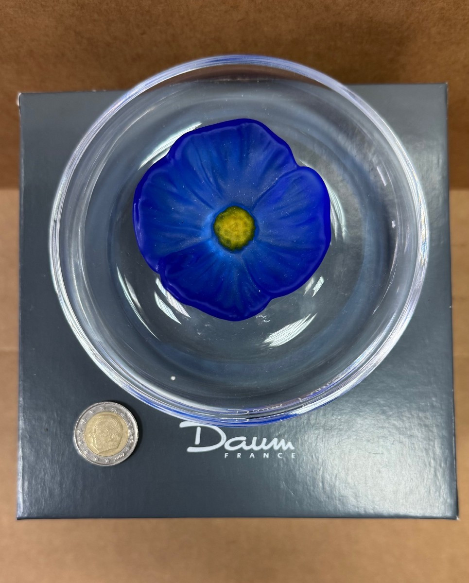 Daum: Large Empty Pocket With Blue Flower From Maison Daum Nancy In Its Box-photo-2