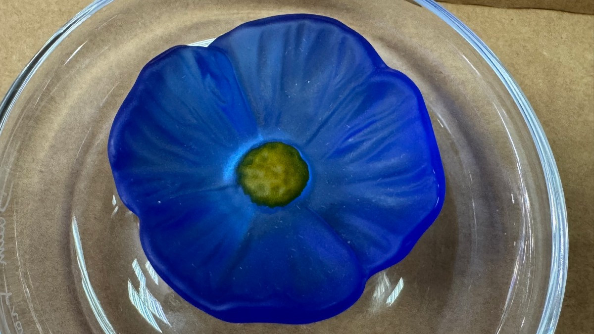 Daum: Large Empty Pocket With Blue Flower From Maison Daum Nancy In Its Box-photo-2