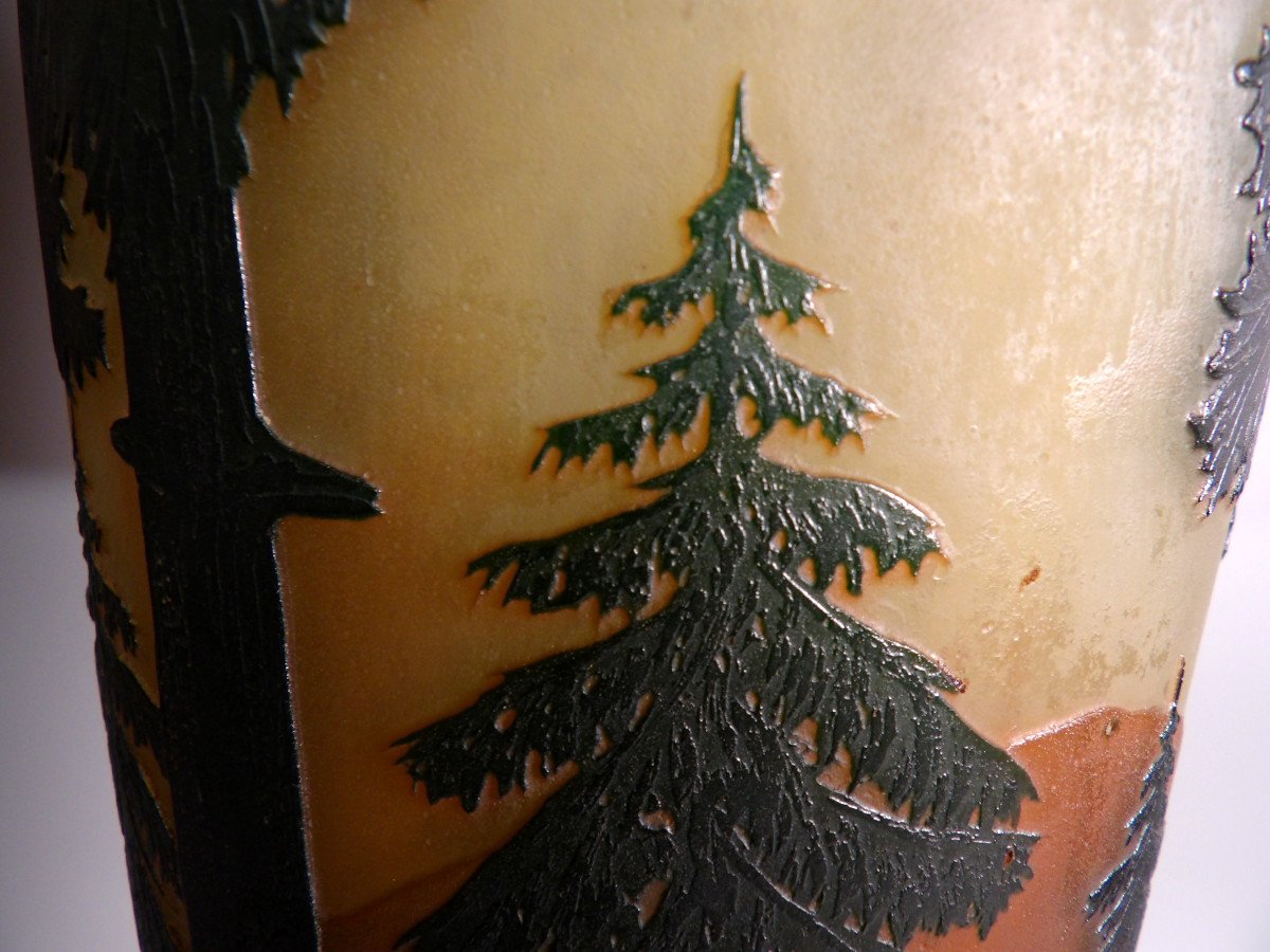 Grand Vase à Piédouche en Pâte de Verre avec décor dégagé à l'acide par DAUM NANCY-photo-6