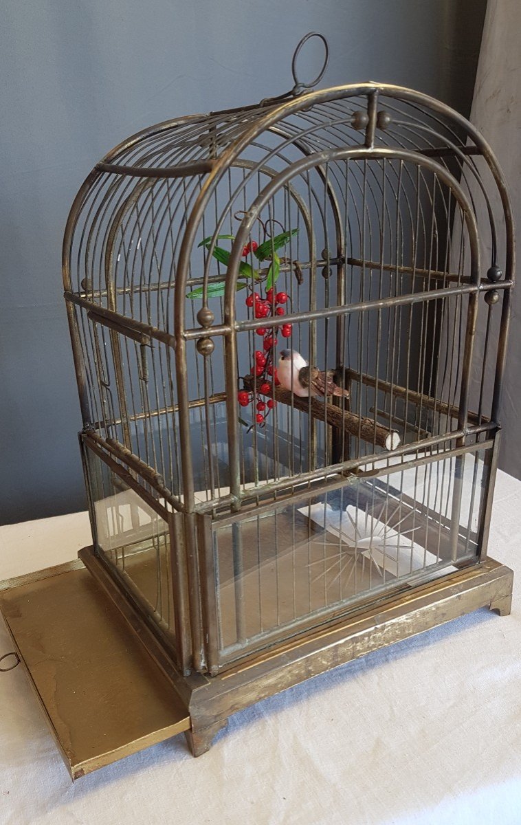 Cage à Oiseaux  - époque Napoléon III  En Laiton-photo-3