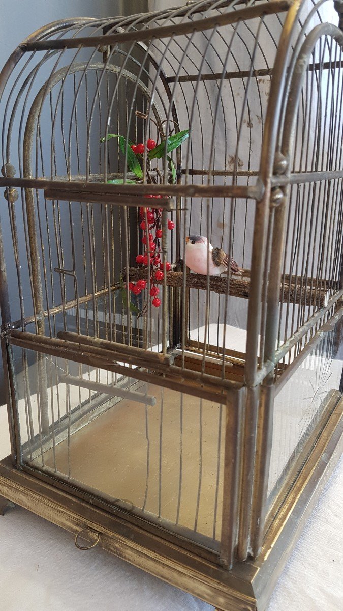 Cage à Oiseaux  - époque Napoléon III  En Laiton-photo-6