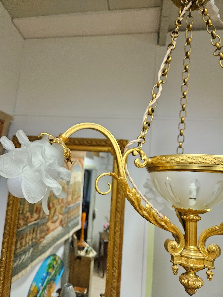 Gilt Bronze Chandelier - Louis XV Style - Late 19th Century --photo-4